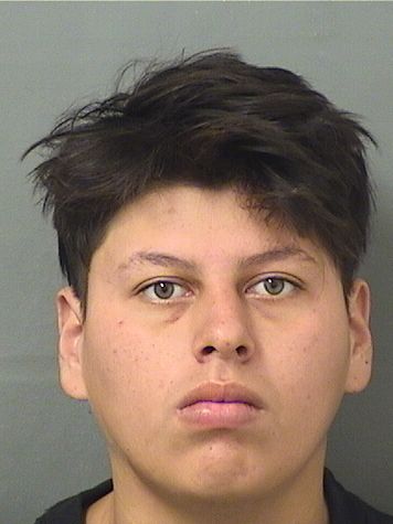  JUAN M DOMINGO Results from Palm Beach County Florida for  JUAN M DOMINGO