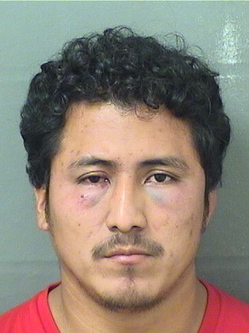  ROBERTO ORTIZ MAZARIEGOS Resultados de la busqueda para Palm Beach County Florida para  ROBERTO ORTIZ MAZARIEGOS