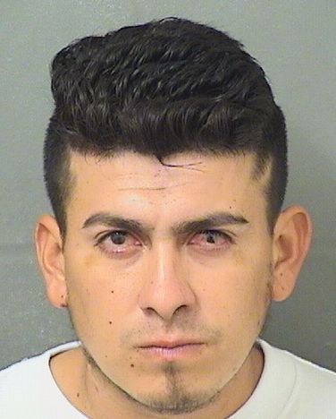  ABEL CASTRO Resultados de la busqueda para Palm Beach County Florida para  ABEL CASTRO