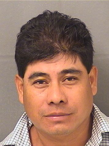 MARCOS DIAZGARCIA Results from Palm Beach County Florida for MARCOS DIAZGARCIA MARCOS DIAZGARCIA Results from Palm Beach County Florida for MARCOS DIAZGARCIA