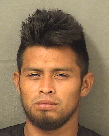  CARLOS SANCHEZSALES Resultados de la busqueda para Palm Beach County Florida para  CARLOS SANCHEZSALES
