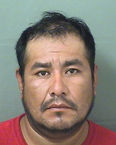  GONZALEZ JAVIER JIMENEZ Results from Palm Beach County Florida for  GONZALEZ JAVIER JIMENEZ