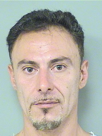  LUIGI ARENA Results from Palm Beach County Florida for  LUIGI ARENA