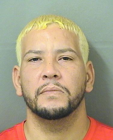  ISRAEL DIAZGONZALEZ Results from Palm Beach County Florida for  ISRAEL DIAZGONZALEZ