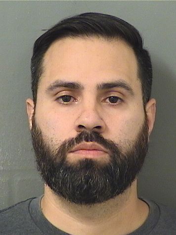  MARIO ESTUARDO MIJANGOS JR. Results from Palm Beach County Florida for  MARIO ESTUARDO MIJANGOS JR.