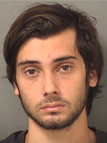  GABRIEL OSCAR LAYSCHMIDT Results from Palm Beach County Florida for  GABRIEL OSCAR LAYSCHMIDT