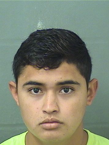  ANIBAL DEJESUS PEREZFUENTES Results from Palm Beach County Florida for  ANIBAL DEJESUS PEREZFUENTES