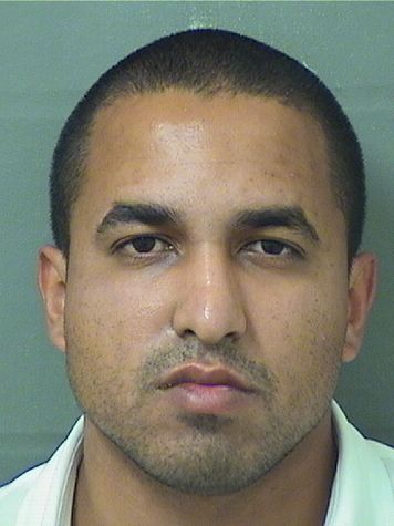  JULIO CESAR RAUDALES Results from Palm Beach County Florida for  JULIO CESAR RAUDALES