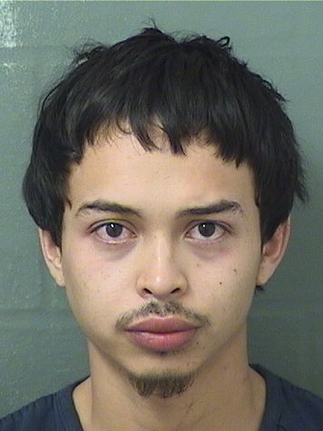  ELMER BENJAMIN NUNEZ Resultados de la busqueda para Palm Beach County Florida para  ELMER BENJAMIN NUNEZ