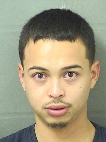  ELMER NUNEZ Resultados de la busqueda para Palm Beach County Florida para  ELMER NUNEZ