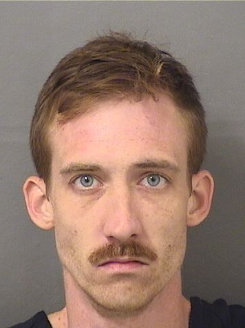  AUSTIN LEE GOODMAN Results from Palm Beach County Florida for  AUSTIN LEE GOODMAN