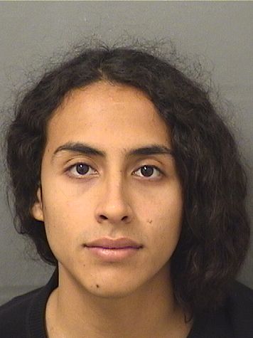  HUGO NICOLAS NOVOA Results from Palm Beach County Florida for  HUGO NICOLAS NOVOA