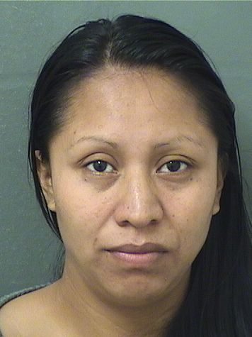  FABIANA PEDROMONTEJO Results from Palm Beach County Florida for  FABIANA PEDROMONTEJO