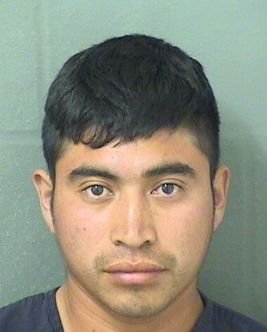  MELVIN CORRILLO Results from Palm Beach County Florida for  MELVIN CORRILLO