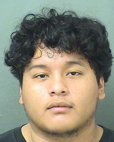  HELTON AVILAVASQUEZ Results from Palm Beach County Florida for  HELTON AVILAVASQUEZ