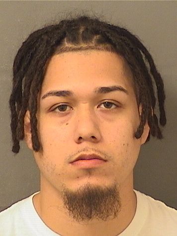  JESUS BOBBY RIVERA Results from Palm Beach County Florida for  JESUS BOBBY RIVERA