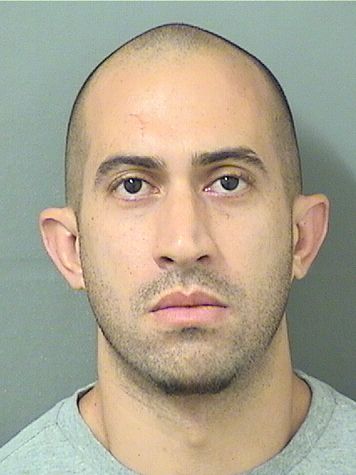  IAN MANUEL MILLALEON Results from Palm Beach County Florida for  IAN MANUEL MILLALEON