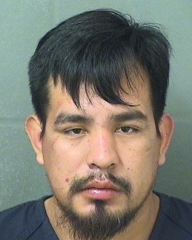  AVNER SANCHEZ Resultados de la busqueda para Palm Beach County Florida para  AVNER SANCHEZ