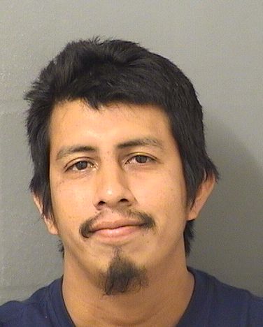 JESUS PASCUAL GASPAR Results from Palm Beach County Florida for JESUS PASCUAL GASPAR JESUS PASCUAL GASPAR Results from Palm Beach County Florida for JESUS PASCUAL GASPAR