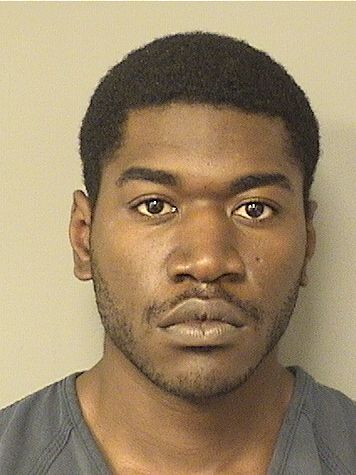  WIDMARK DWYER Resultados de la busqueda para Palm Beach County Florida para  WIDMARK DWYER