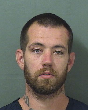  CHRISTOPHER MICHAEL CRAIGHEAD Results from Palm Beach County Florida for  CHRISTOPHER MICHAEL CRAIGHEAD