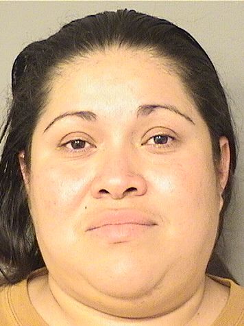  ALPINA G CASTRO-CRUZ Resultados de la busqueda para Palm Beach County Florida para  ALPINA G CASTRO-CRUZ