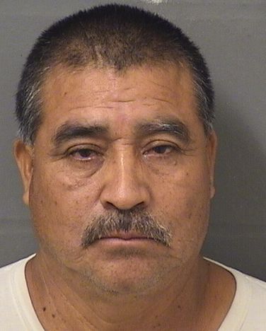  JOSE ROLANDO ORTIZVELASQUEZ Results from Palm Beach County Florida for  JOSE ROLANDO ORTIZVELASQUEZ