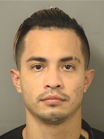  JOSE LUIS GARCIATUN Results from Palm Beach County Florida for  JOSE LUIS GARCIATUN