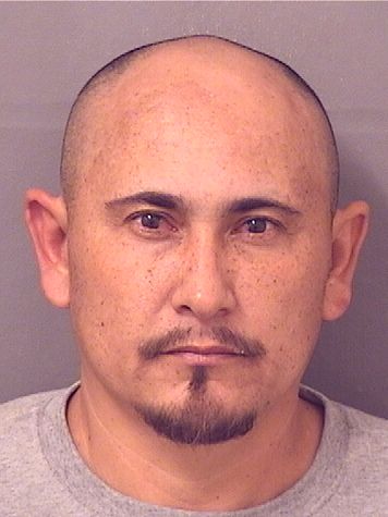  ALBERT SANCHEZ Photo For  ALBERT SANCHEZ