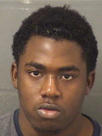  RONALD ALEXIS Results from Palm Beach County Florida for  RONALD ALEXIS