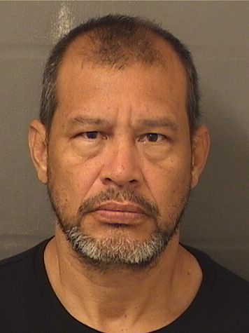  WILMER GAMBOA Results from Palm Beach County Florida for  WILMER GAMBOA