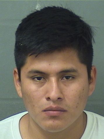  AMILCAR AVELINO TZUNUN CUYUCH Results from Palm Beach County Florida for  AMILCAR AVELINO TZUNUN CUYUCH