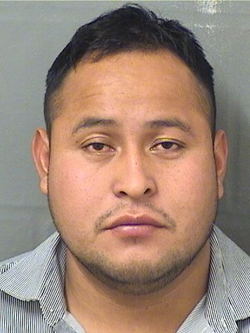  DAVID RAMIREZ Results from Palm Beach County Florida for  DAVID RAMIREZ