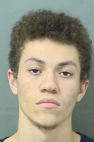  JOHN CLINTON III SNEED Results from Palm Beach County Florida for  JOHN CLINTON III SNEED