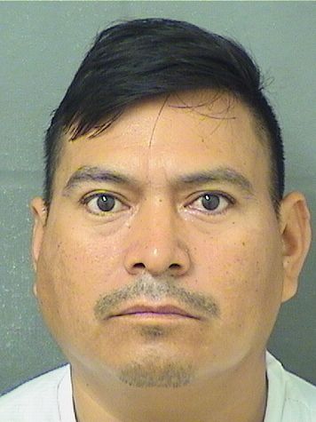  ANTONIO LOPEZ Results from Palm Beach County Florida for  ANTONIO LOPEZ