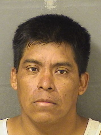  FRANCISCO SEBASTIAN JIMENEZ Resultados de la busqueda para Palm Beach County Florida para  FRANCISCO SEBASTIAN JIMENEZ