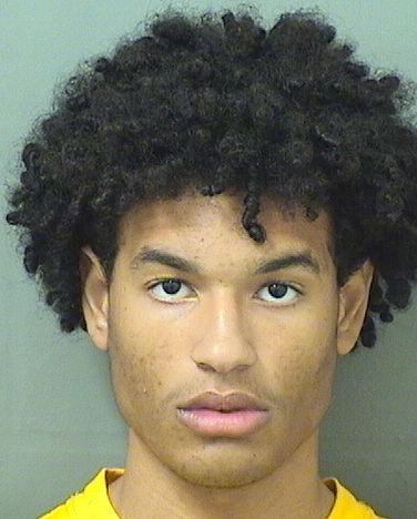  BOWEI OLIVERDAVID FORD Results from Palm Beach County Florida for  BOWEI OLIVERDAVID FORD