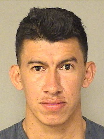  JORGE ALBERTO MEDINA Results from Palm Beach County Florida for  JORGE ALBERTO MEDINA