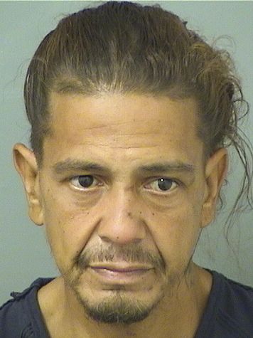  JOSE GONZALEZ Results from Palm Beach County Florida for  JOSE GONZALEZ