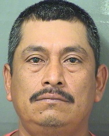  ALFREDO VILLALOBOSNOLASCO Results from Palm Beach County Florida for  ALFREDO VILLALOBOSNOLASCO