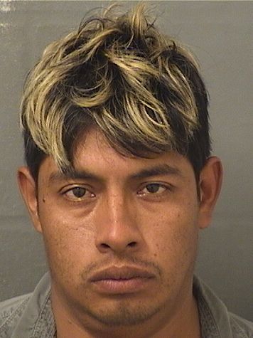  DAMIAN OLIVERA RAMIREZ Results from Palm Beach County Florida for  DAMIAN OLIVERA RAMIREZ