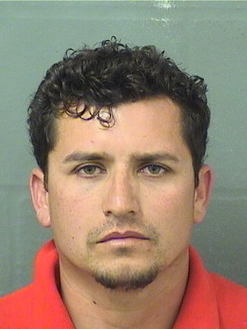  JOSE HECTOR CASTILLOFUENTES Results from Palm Beach County Florida for  JOSE HECTOR CASTILLOFUENTES