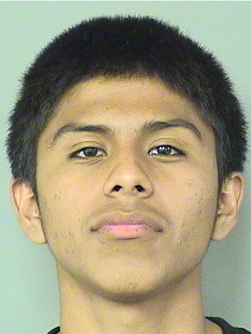  ANTHONY XAVIER JAIMES Results from Palm Beach County Florida for  ANTHONY XAVIER JAIMES