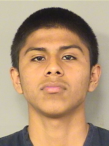  ANTHONY JAIMES Results from Palm Beach County Florida for  ANTHONY JAIMES