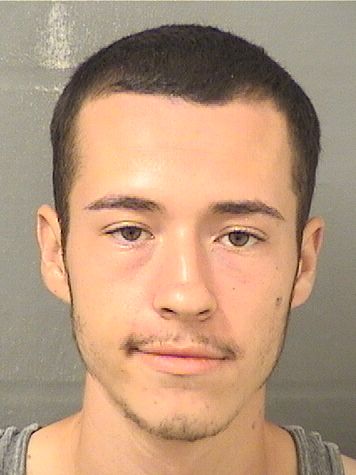  TYLER ALFREDO DELATORRE Results from Palm Beach County Florida for  TYLER ALFREDO DELATORRE