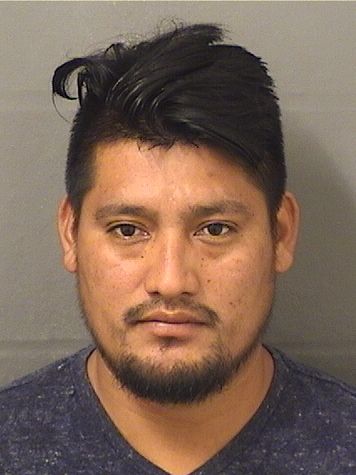  MELVIN AJTUNPELICO Resultados de la busqueda para Palm Beach County Florida para  MELVIN AJTUNPELICO