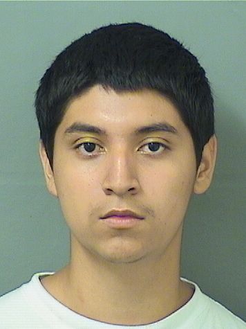  LUIS ACEVEDOCASTILLO Results from Palm Beach County Florida for  LUIS ACEVEDOCASTILLO