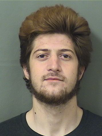  DOMINIC N MASHORDA Results from Palm Beach County Florida for  DOMINIC N MASHORDA