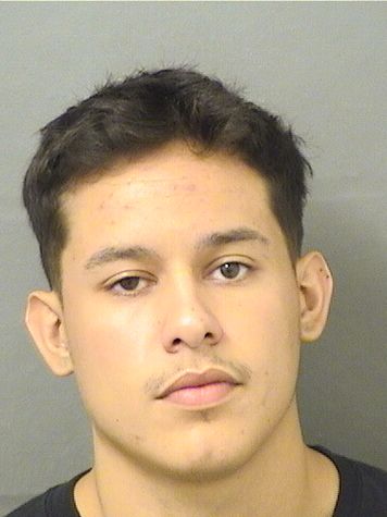  JONATHAN JOEL FLEITAS Results from Palm Beach County Florida for  JONATHAN JOEL FLEITAS