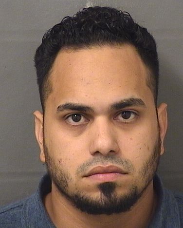  ANDRES RICARDO PERDOMOLEON Results from Palm Beach County Florida for  ANDRES RICARDO PERDOMOLEON